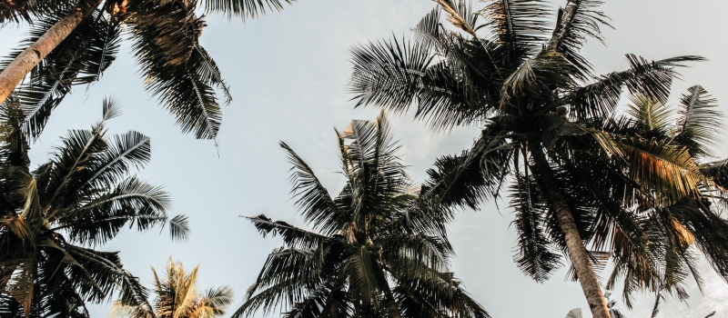 pexels-nur-andi-ravsanjani-gusma-804410-1